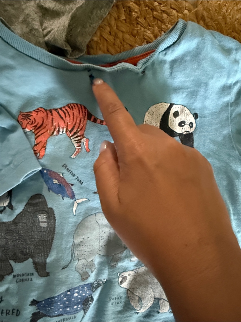 Mini Boden Tee Set Animal Dino Applique Tshirt Set lot. Size 3T-4T ***read*** - Picture 2 of 8